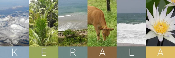 Fotocollage Vertical Lugar Tropical Paisaje India Kerala Palma Coco Mar —  Fotos de Stock