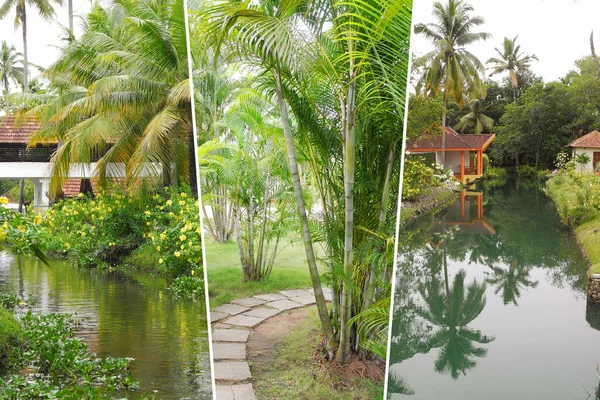 Fotocollage Vertical Lugar Tropical Paisaje India Kerala Palma Coco Remansos —  Fotos de Stock