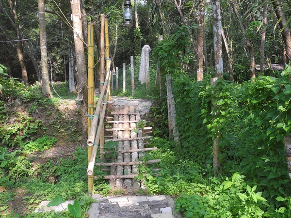 Bambusowy Most Zielonym Parku Kochi Kerala Indie — Zdjęcie stockowe