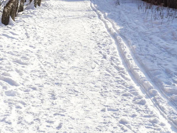 Трасса Снегу Катания Коньках Классических Лыжах Концепция Сезона — стоковое фото