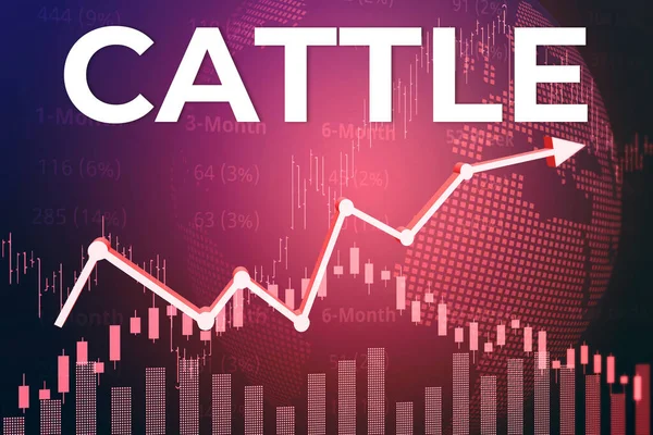 Price change on trading Cattle futures on magenta finance background from graphs, charts, columns, pillars, candles, bars, number. Trend Up and Down, Flat. 3D illustration. Financial derivatives market concept