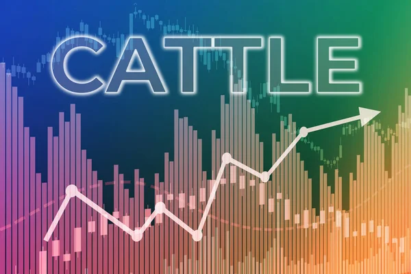 Price change on trading Cattle futures on finance background from graphs, charts, columns, pillars, candles, bars, number. Trend Up and Down, Flat. 3D illustration. Financial derivatives market concept