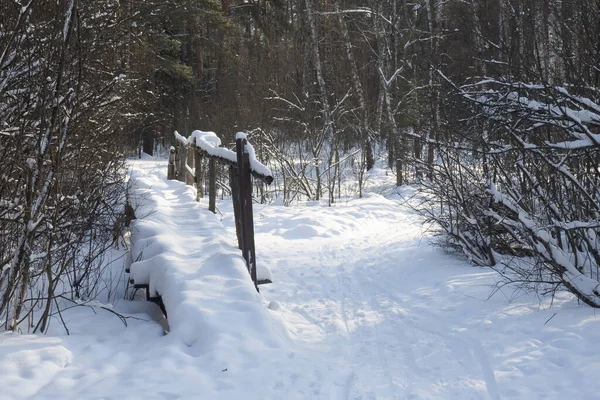 Passarela Madeira Velha Sobre Uma Corrente Sob Neve Parque Inverno — Fotografia de Stock
