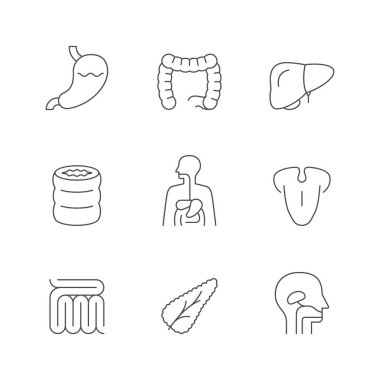 Sindirim sisteminin çizgi simgelerini beyaza ayır