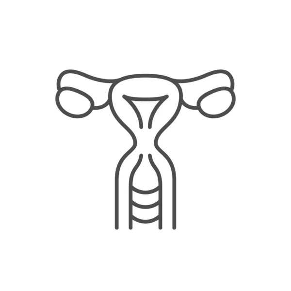 Icono de línea del sistema reproductor femenino — Vector de stock