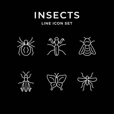 Böceklerin çizgi simgelerini ayarla