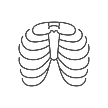 Göğüs kafesi çizgisi simgesi beyaza izole edilmiş. Vektör illüstrasyonu