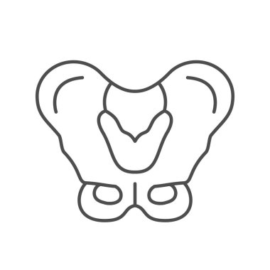 Beyaz üzerinde izole edilmiş insan leğen kemiği çizgisi taslak ikonu. Vektör illüstrasyonu