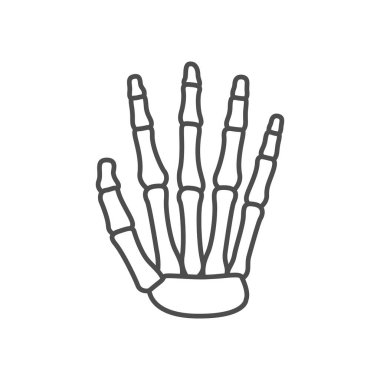 El kemikleri çizgisi çizgisi simgesi beyaza izole edilmiş. Vektör illüstrasyonu