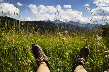 Dolomites'in çiçek açan çayırda