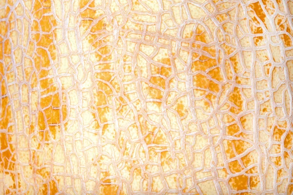 Sarı kavun cilt dokusunu — Stok fotoğraf