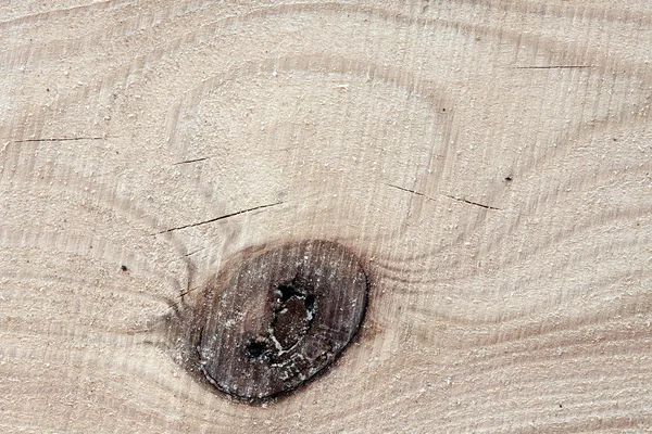 Sawn wood in bright sunlight on it lying chips and dust — Stock Photo, Image