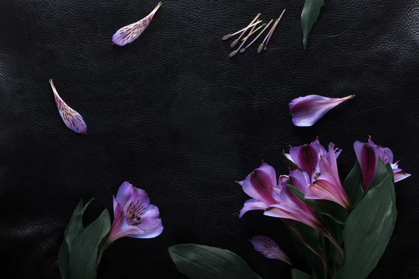 Plakat części kwiatu na czarnym tle Obraz Stockowy