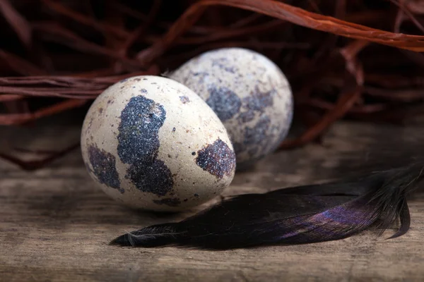 Kwartel ei liggend op houten oppervlak close-up — Stockfoto