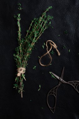 siyah bir dal kekik sökülmüş