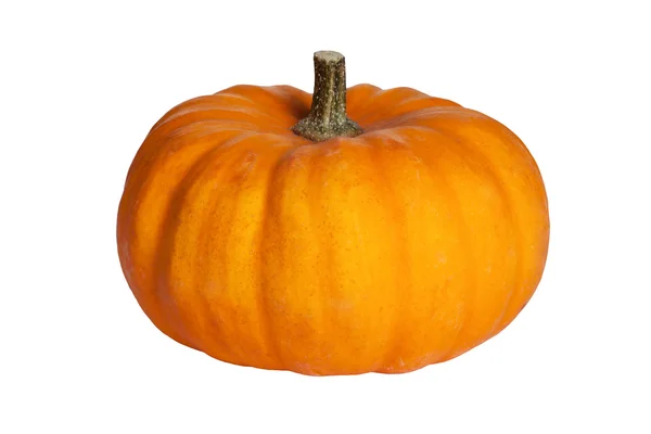 Pumpkin isolated on the white — Stock Photo, Image