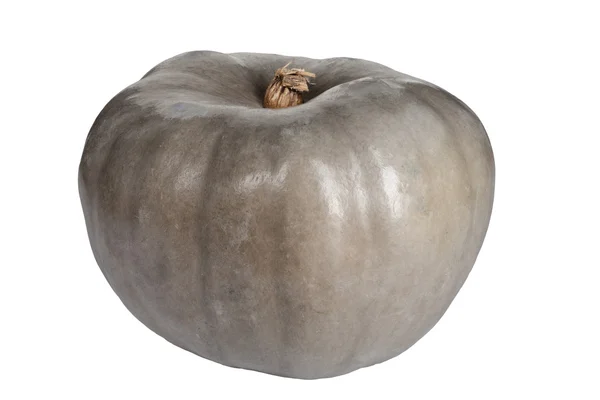 Calabaza aislada en el blanco — Foto de Stock