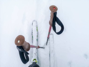 İsviçre 'nin Davos kenti yakınlarında yapılan kayak turunda kayaklar taze toz karla kaplıydı.