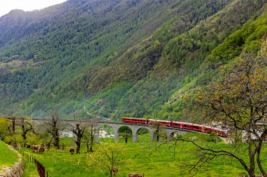 İlkbaharda İsviçre Alpleri 'nin yakınlarındaki Brüksel yakınlarındaki dairesel viyadük köprüsündeki kırmızı tren.