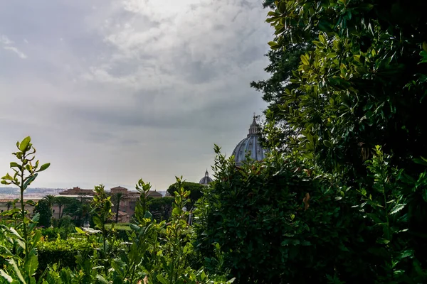 Veduta Della Cupola Della Basilica San Pietro Roma Vista Giardino — Foto Stock