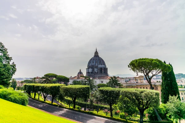 View Dome Saint Peter Basilica Rome Seen Garden — Stock Photo, Image