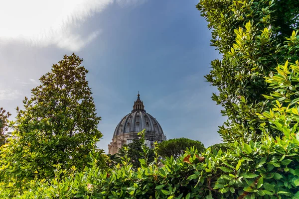 Vista Cúpula Basílica San Pedro Roma Vista Desde Jardín — Foto de Stock