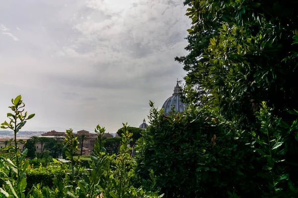 Vista Cúpula Basílica San Pedro Roma Vista Desde Jardín — Foto de Stock