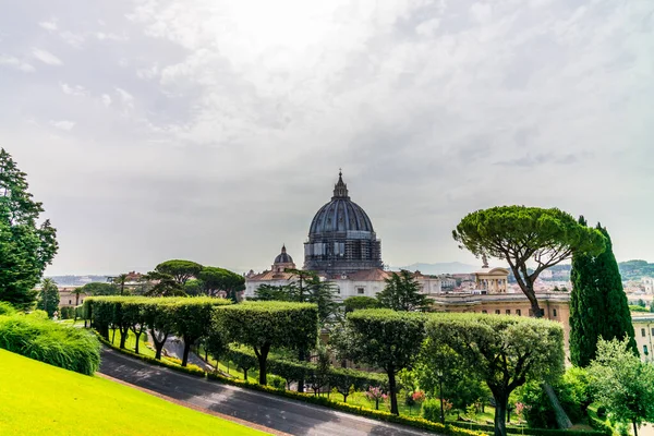 View Dome Saint Peter Basilica Rome Seen Garden — Stock Photo, Image