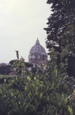 Roma 'daki Aziz Peter Bazilikası' nın kubbesinin görüntüsü bir bahçeden görünüyor, analog film tekniğiyle çekilmiş.