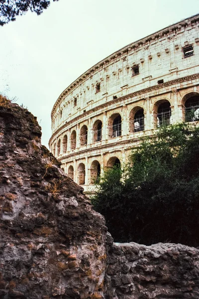 Dettagli Dell Anfiteatro Del Colosseo Roma Con Una Pietra Fuori — Foto Stock