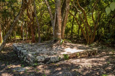 Meksika, Akumal Pueblo 'da, ormanın ortasında terk edilmiş bir Maya binası..