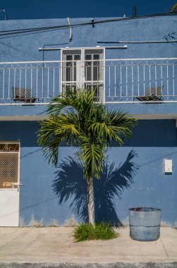 Çarpıcı mavi boyalı Meksika evi palmiye ağacıyla Akumal Meksika cephesinde dramatik bir gölge bırakıyor..