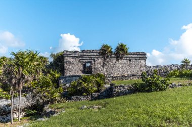 Meksika, Tulum 'daki tapınaklar ve binalar palmiyeler, ağaçlar ve denizlerle çevrili..