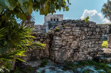 Meksika, Tulum 'daki tapınaklar ve binalar palmiyeler, ağaçlar ve denizlerle çevrili..