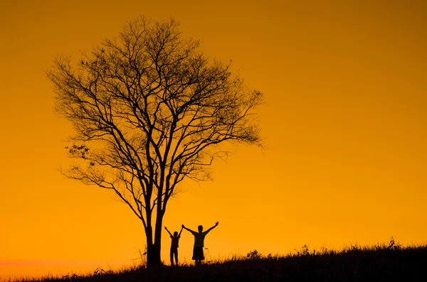 Silhouette of father holding hands held up — Stock Photo, Image