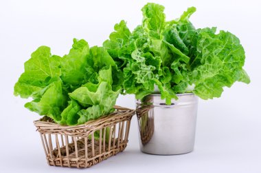 beyaz izole marul salatası