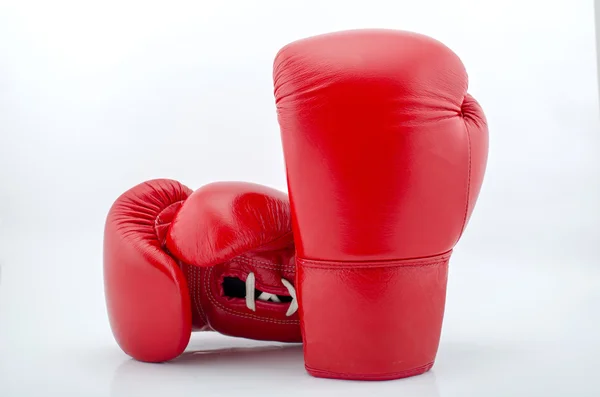 beyaz izole kırmızı Boks eldiveni