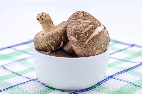 shiitake mantarları