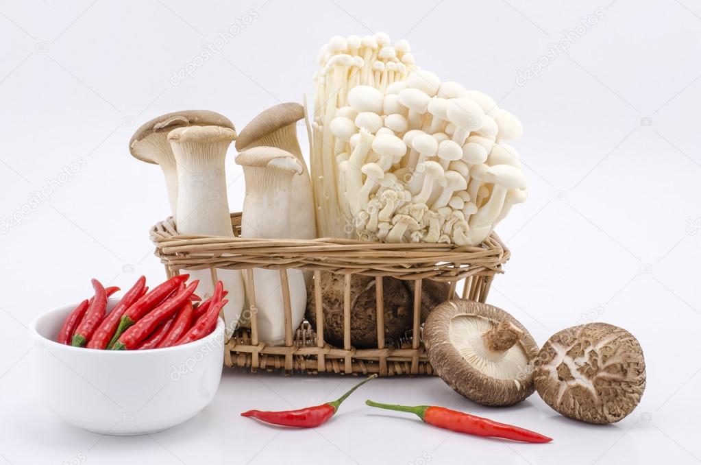 Many species of mushrooms, peppers