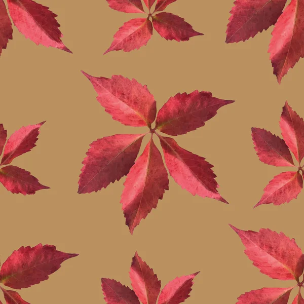 Oro y rojo hojas de otoño patrón de repetición de impresión — Vector de stock