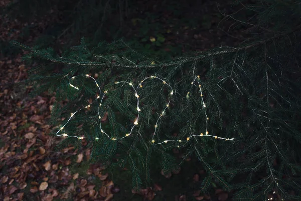 2021 escrito na árvore de Natal com uma guirlanda de luzes. — Fotografia de Stock