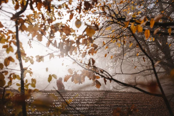 Çatıda oturan küçük çocuk.