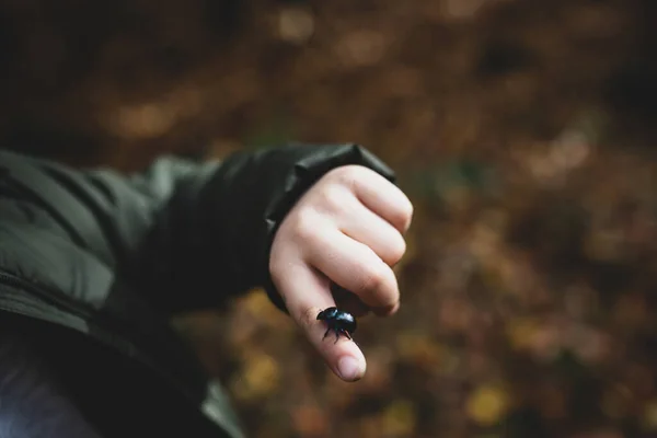 .Bir çocuk elinde böcek tutuyor..