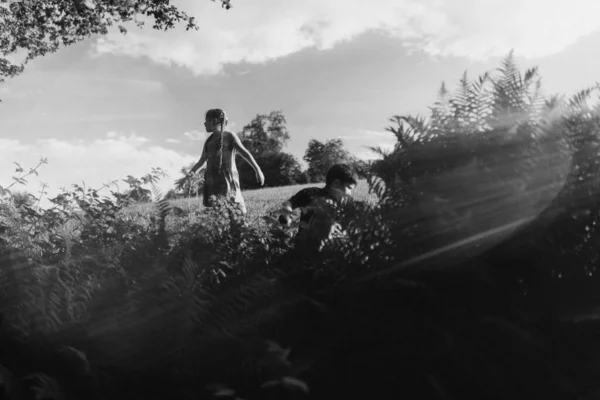 Niños juegos de verano al aire libre en la naturaleza. — Foto de Stock