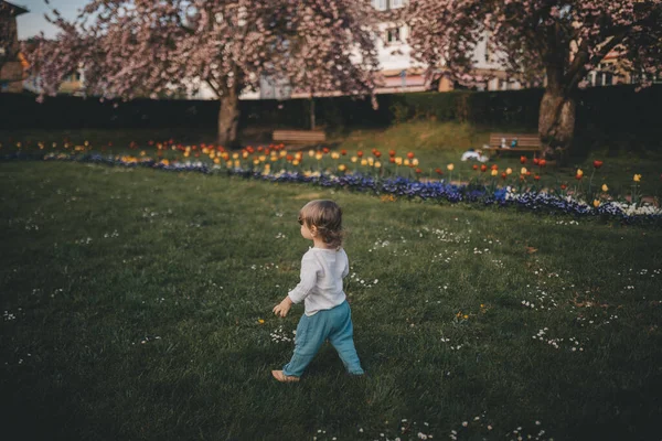 Küçük çocuk çiçek açan bahçede yürüyor.. — Stok fotoğraf