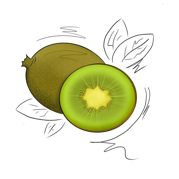 Frutas Desenhadas Ícone Kiwi Kiwi Com Golpe Preto — Fotografia de Stock