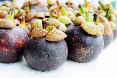 Mangosteen izole beyaz zemin üzerine