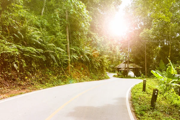 Vägen i berget vid Mae Kampong village, Chiang Mai — Stockfoto