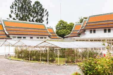 Phuping Palace on Augus 3 , 2016 Chiang Mai, Tayland