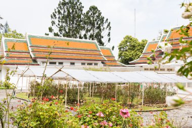 Phuping Palace on Augus 3 , 2016 Chiang Mai, Tayland